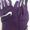 New Nike Dri Fit Tempo Running Gloves Women's Small Adult Purple/White -Deals Baseball Store 2021 02 23 2010.11.43 1