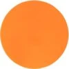 New Champion Sports Round Poly Spot Markers For Sports 9 Inch Orange -Deals Baseball Store 51vyttckurl. ac sl1500