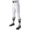 EvoShield Youth Salute Knicker Baseball Pants (White) -Deals Baseball Store 71kwt1rnxql. ac sx679