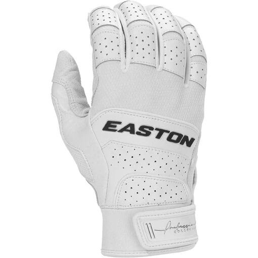 Easton Ramon Laureano Professional Collection Adult Batting Gloves, Large, White -Deals Baseball Store 81orgajfuyl. ac sl1500