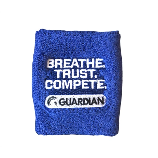 Guardian Baseball Brandon Guyer Mindset Series WIN Wrist Bands Terry Cloth (Navy) -Deals Baseball Store photofeb08 113821am