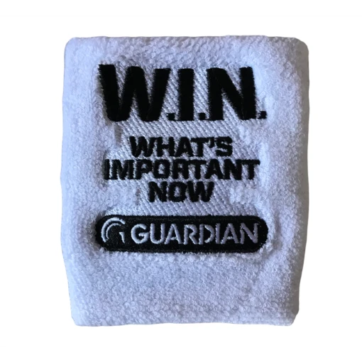 Guardian Baseball Brandon Guyer Mindset Series WIN Wrist Bands Terry Cloth (White) -Deals Baseball Store photofeb08 120241pm